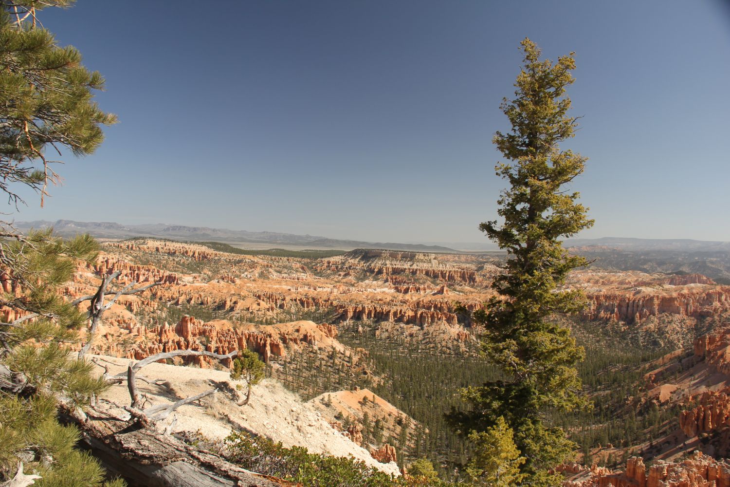 Bryce Point to Inspiration Point 